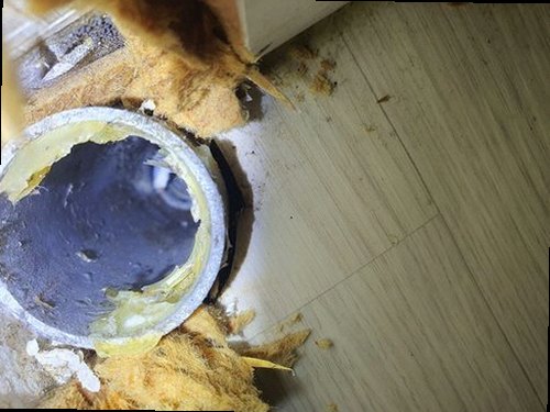일산동구 하수구막힘 중산2동 하수구막힘 욕실 악취 제거 두 시간 안에 끝낸 배수 점검