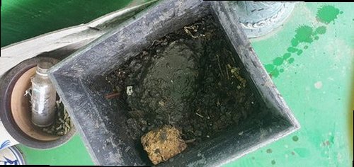 일산동구 마두동 하수구막힘 배수 처치 후 물이 원활하게 내려가는 상태