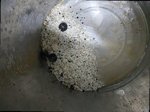 일산동구 마두1동 하수구막힘 물이 천천히 빠지는 배수구와 주변 오염 상태